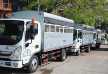 khóa học hạng c1