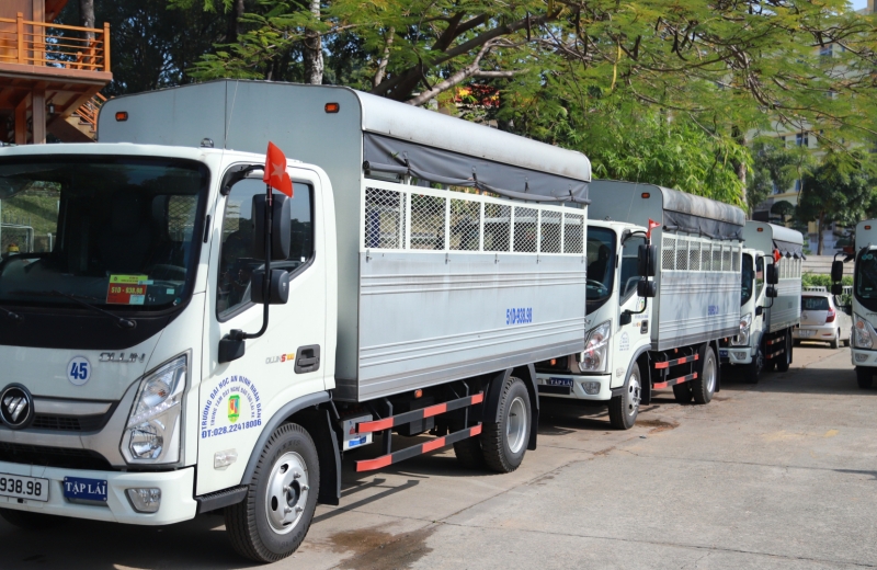 khóa học hạng c1