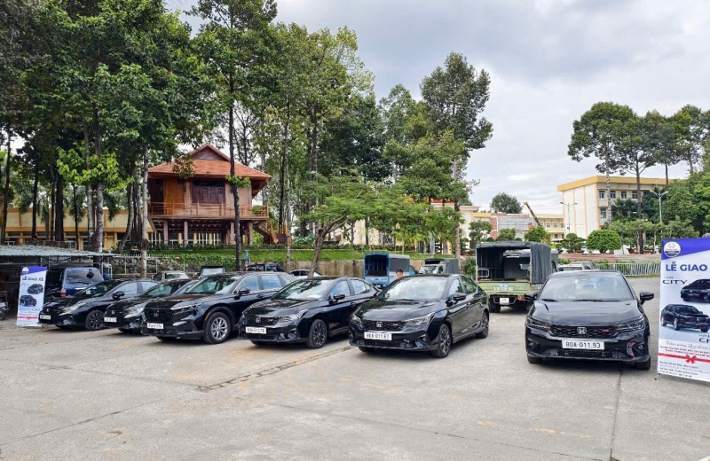 Hạng B số tự động